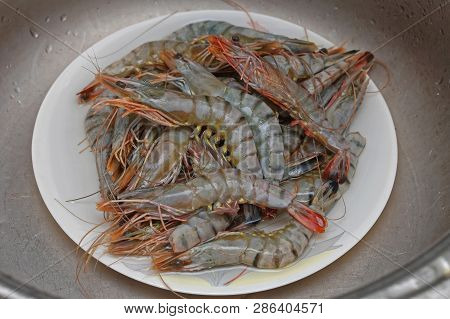 Big Pile Of Fresh Tiger Prawns Seafood Crustaceans In Plate