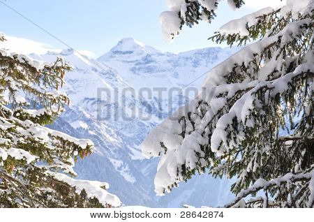 Alpine Landschaft. Braunwald, Schweiz