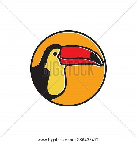 Toucan Bird With Big Beak Cute Logo Template