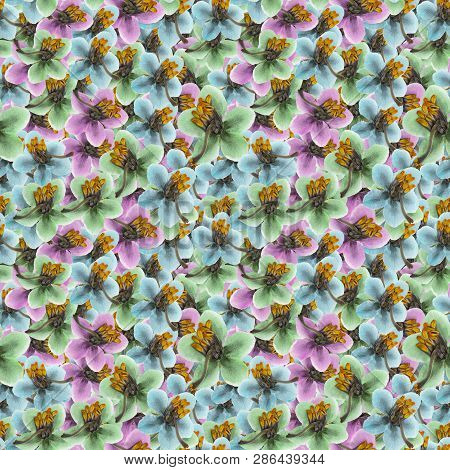 Pyrola. Texture Of Flowers. Seamless Pattern For Continuous Replicate. Floral Background, Photo Coll