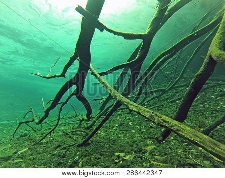 Diving Cenotes Mexico Underwater World Caves Sport