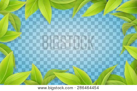 Green Leaves Frame On Transparent Background. Border For Spring Card.