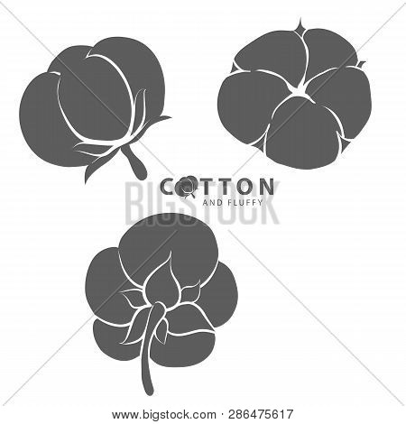 Vector Illustration Of Simple Silhouette Cotton Logo