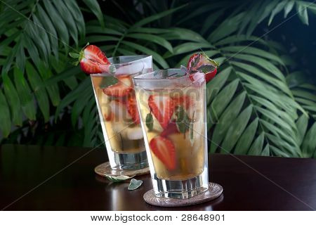 Strawberry salvia iste
