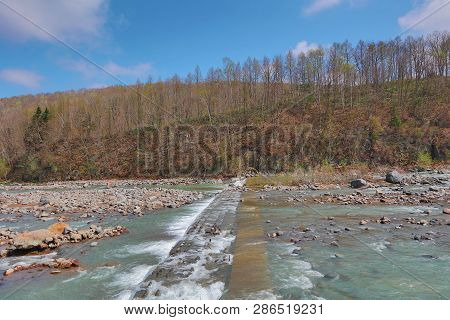 River Of Blue Pond Aoiike At Biei Hokkaido Japan