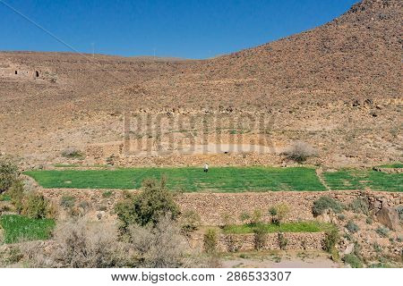 Morocco Tourism: Trekking Man In Mountains. Atlas Mountains, Jebel Sakhro (djebel Sahro), Ourzazate,