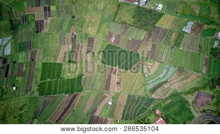 Aerial View Of Forest Nature At Batu Malang City In East Java, Indonesia. One Of The Best Destinatio