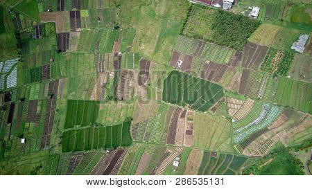 Aerial View Of Forest Nature At Batu Malang City In East Java, Indonesia. One Of The Best Destinatio