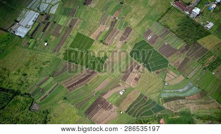 Aerial View Of Forest Nature At Batu Malang City In East Java, Indonesia. One Of The Best Destinatio
