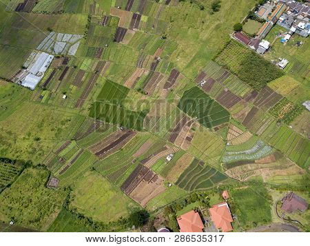 Aerial View Of Forest Nature At Batu Malang City In East Java, Indonesia. One Of The Best Destinatio