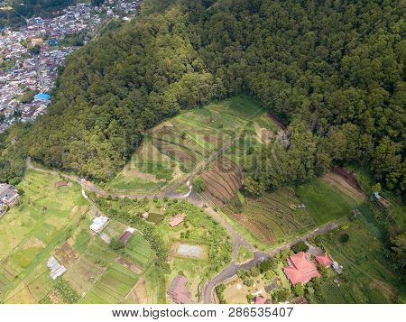 Aerial View Of Forest Nature At Batu Malang City In East Java, Indonesia. One Of The Best Destinatio