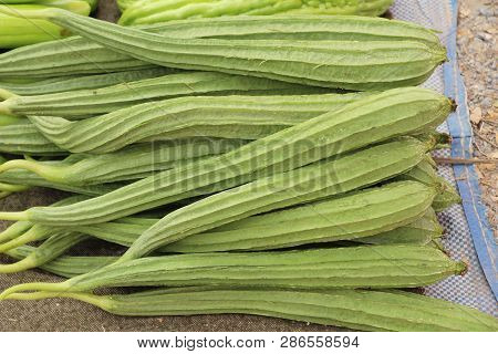Luffa Acutangula For Cooking At Street Food