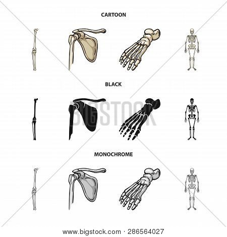 Vector Illustration Of Medicine And Clinic Sign. Set Of Medicine And Medical Vector Icon For Stock.