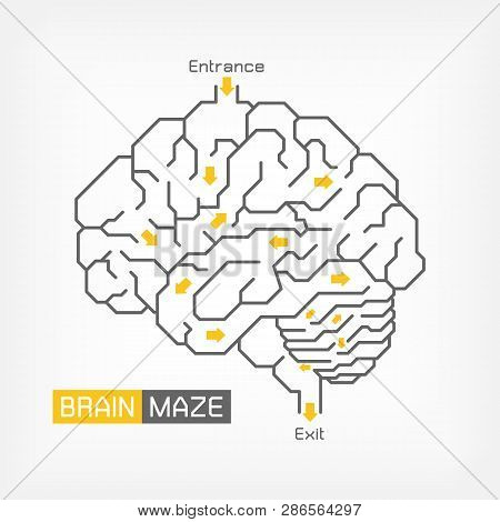 Brain Maze . Creative Idea Concept . Outline Of Cerebrum Cerebellum And Brainstem . Flat Design .
