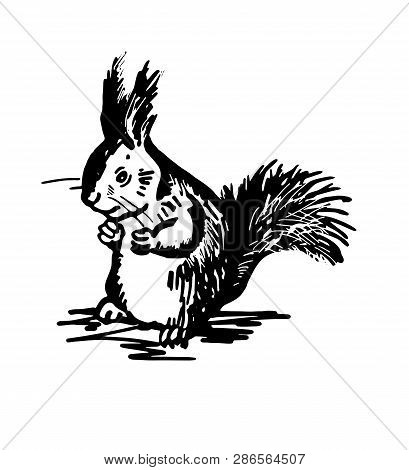 Squirrel1.eps