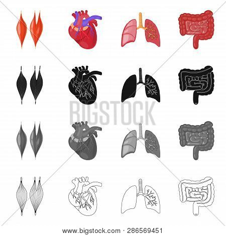 Vector Illustration Of Biology And Scientific Icon. Set Of Biology And Laboratory Stock Vector Illus