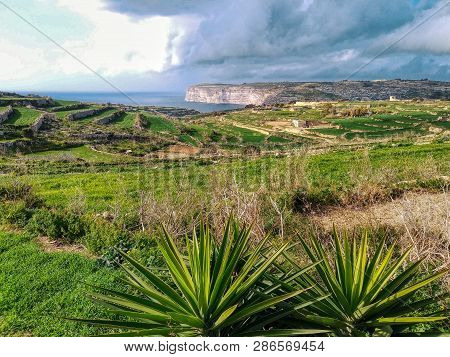 Sannat, Gozo View Of The Mediterranean Cliffs On The Coast Of Gozo Malta.