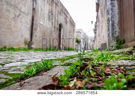 Grass Growing On Stone Road In The Old Europe Town