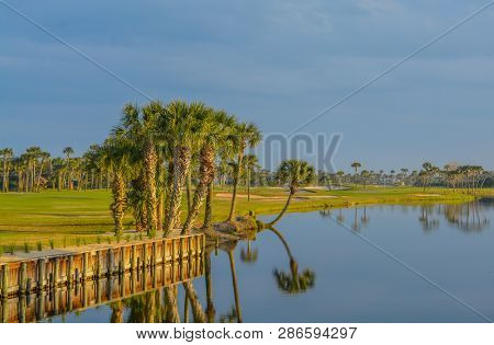 Palm Trees On Lake Vedra. Ponte Vedra Beach, Florida
