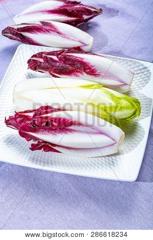 Group Of Fresh Green Belgian Endive Or Chicory And Red Radicchio Vegetables, Also Known As Witlof Sa