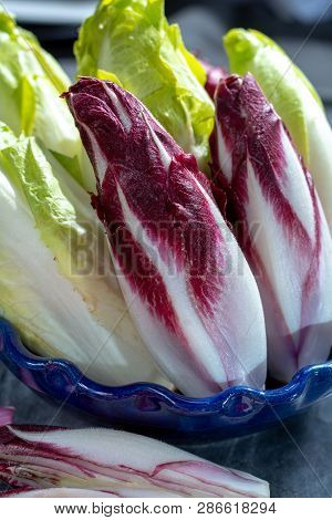 Group Of Fresh Green Belgian Endive Or Chicory And Red Radicchio Vegetables, Also Known As Witlof Sa