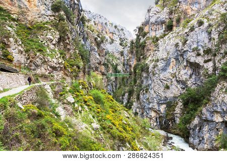 Hiking trail (Cares Trail or Ruta del Cares) along river Cares in cloudy spring  day( near  Cain), Picos de Europa National Park,  province of Leon,  Spain.