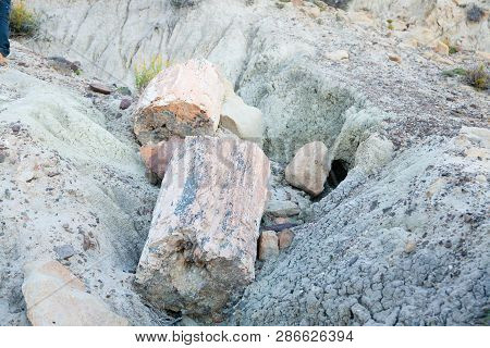 La Leona Petrified Forest View, Patagonia, Argentina. Road To El Calafate