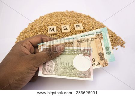 Maski,karnataka,india - January 19,2019 :concept Of Msp Or Minimum Support Price Of Wooden Blocks On