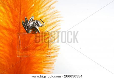 Prague, Czech Republic- January 22, 2019. Perfume KENZO bottle on white background. Kenzo Jungle L'elephant 