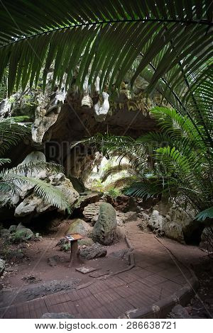 The Famous Travel Destinations Ancient Forest Hup Pa Tat In Uthai Thani, Thailand.