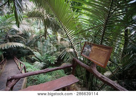 Uthai Thani, Thailand - January 11, 2019: Thai Langauge Tourist Information At Ancient Forest Hup Pa
