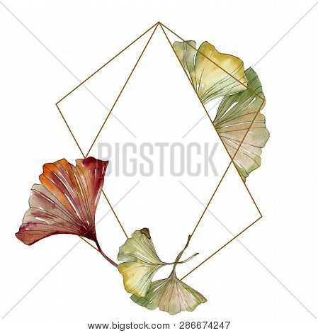 Green Red Ginkgo Biloba Leaves.watercolor Background Illustration Set. Frame Border Ornament Square.