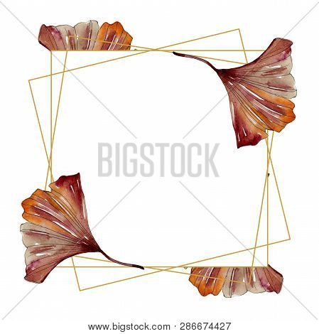 Green Red Ginkgo Biloba Leaves.watercolor Background Illustration Set. Frame Border Ornament Square.