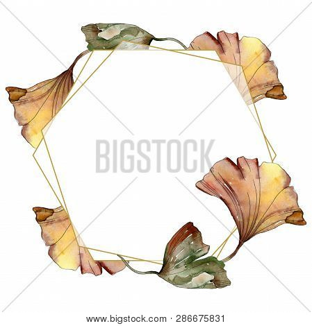 Green Red Ginkgo Biloba Leaves.watercolor Background Illustration Set. Frame Border Ornament Square.