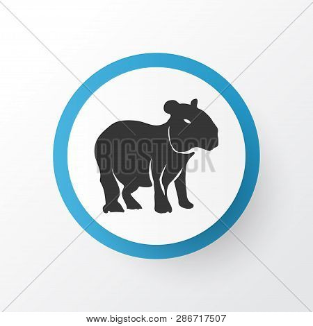 Capybara Icon Symbol. Premium Quality Isolated Gerbil Element In Trendy Style.