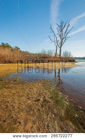 Silhouettes Of Two Dead Trees Reflected In The Water Surface Of A Mere Of The Galderse Heide, A Natu