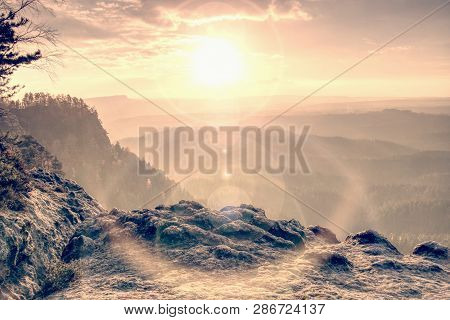 Strong Sun Rays Illuminating Sharp Treetops Of Misty Forest Scenery With Fresh And Vibrant Orange Fo