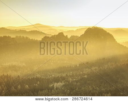 Strong Sun Rays Illuminating Sharp Treetops Of Misty Forest Scenery With Fresh And Vibrant Orange Fo