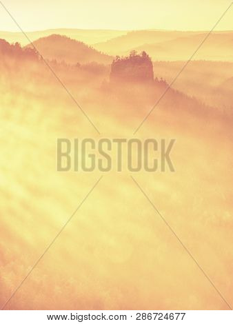 Mountain Forest In Misty Clouds. Hilly Forest Landscape. Thick Mist In Sun Beams.