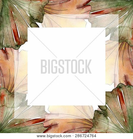 Green Red Ginkgo Biloba Leaves.watercolor Background Illustration Set. Frame Border Ornament Square.