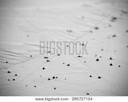 Abstract Surface Of Frozen Lake. Frozen Air In Arctic Ice. Colorful Piece Of Ice With Sun Rays Refle