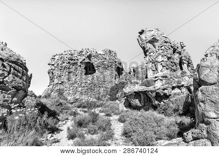 Rock Formations And Wild Flowers At The Stadsaal Caves And Rock Art Site In The Cederberg Mountains 