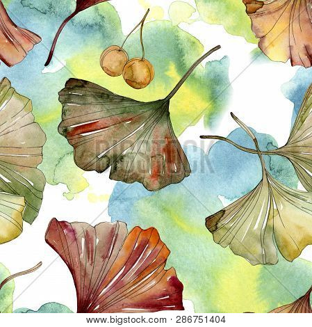 Green Red Ginkgo Biloba Leaves. Watercolor Background Illustration Set. Seamless Background Pattern.