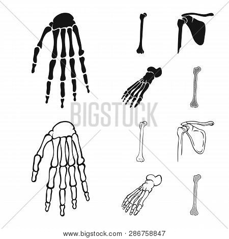 Vector Design Of Medicine And Clinic Symbol. Set Of Medicine And Medical Vector Icon For Stock.