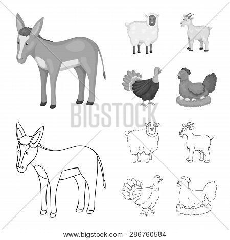 Vector Design Of Breeding And Kitchen  Icon. Collection Of Breeding And Organic  Vector Icon For Sto