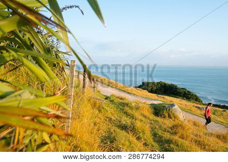 Tauranga  New Zealand - February 15 2019; View From Mount Maunganui Of Walking Track And Blue Pacifi