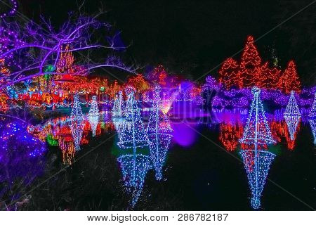 Blue Red Christmas Trees Lights Reflection Lake Van Dusen Garden Vancouver British Columbia Canada