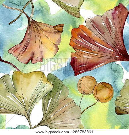 Green Red Ginkgo Biloba Leaves. Watercolor Background Illustration Set. Seamless Background Pattern.
