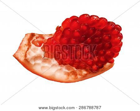 Ripe Red Granet Or Garnet. Fruits Of Red Ripe Pomegranate Isolate On The White Background. Vegetaria