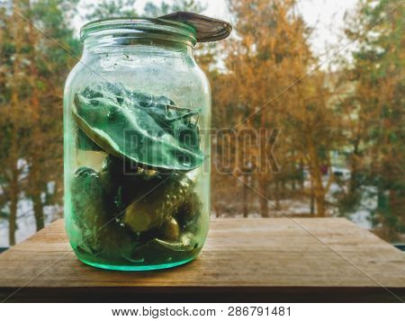Can Of Pickled Cucumbers On Window On A Background Of Autumn Or Winter Forest.  Huge Texture Of Mold